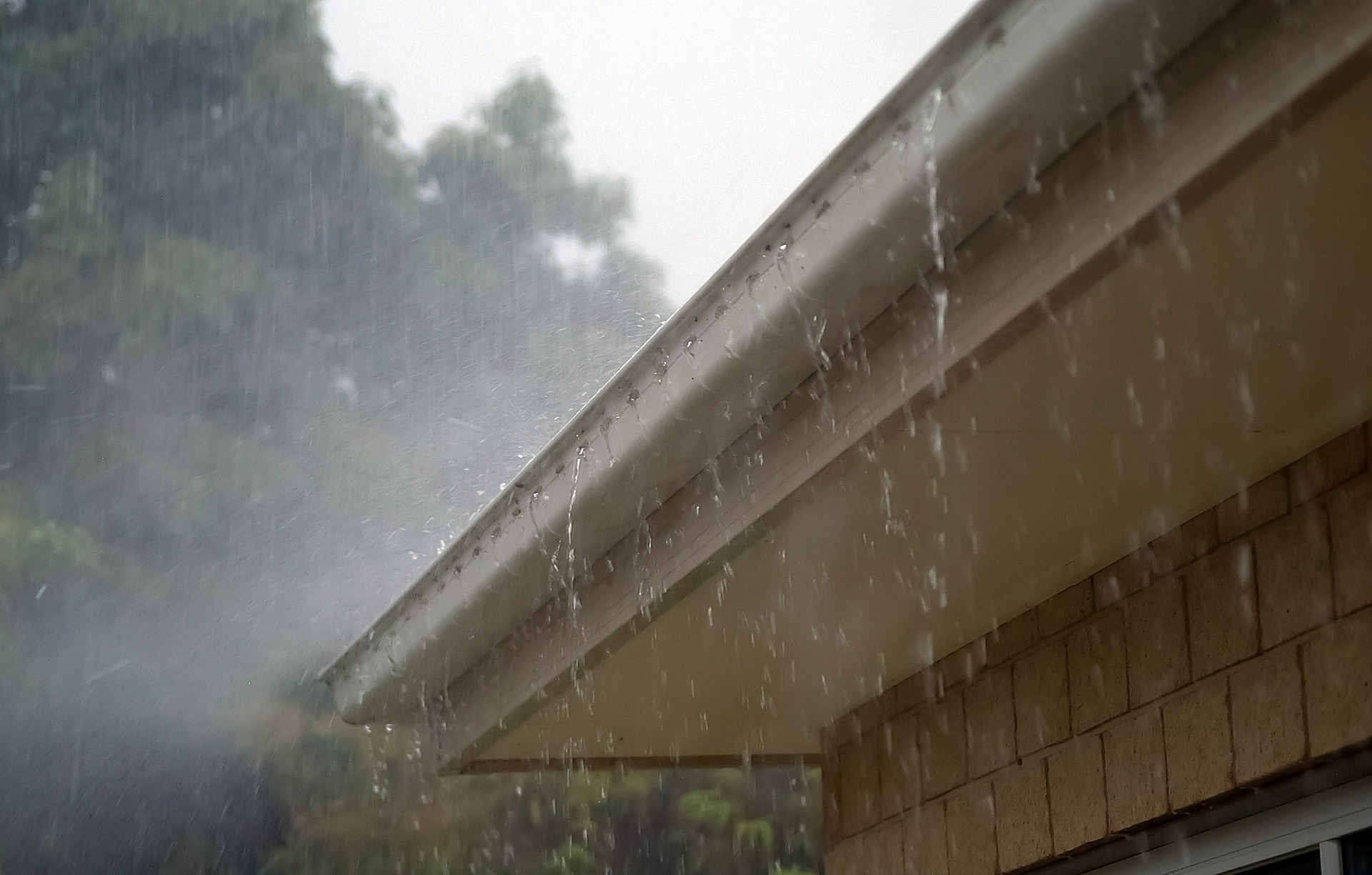 Read more about the article Cleaning and Maintaining Your Gutters
