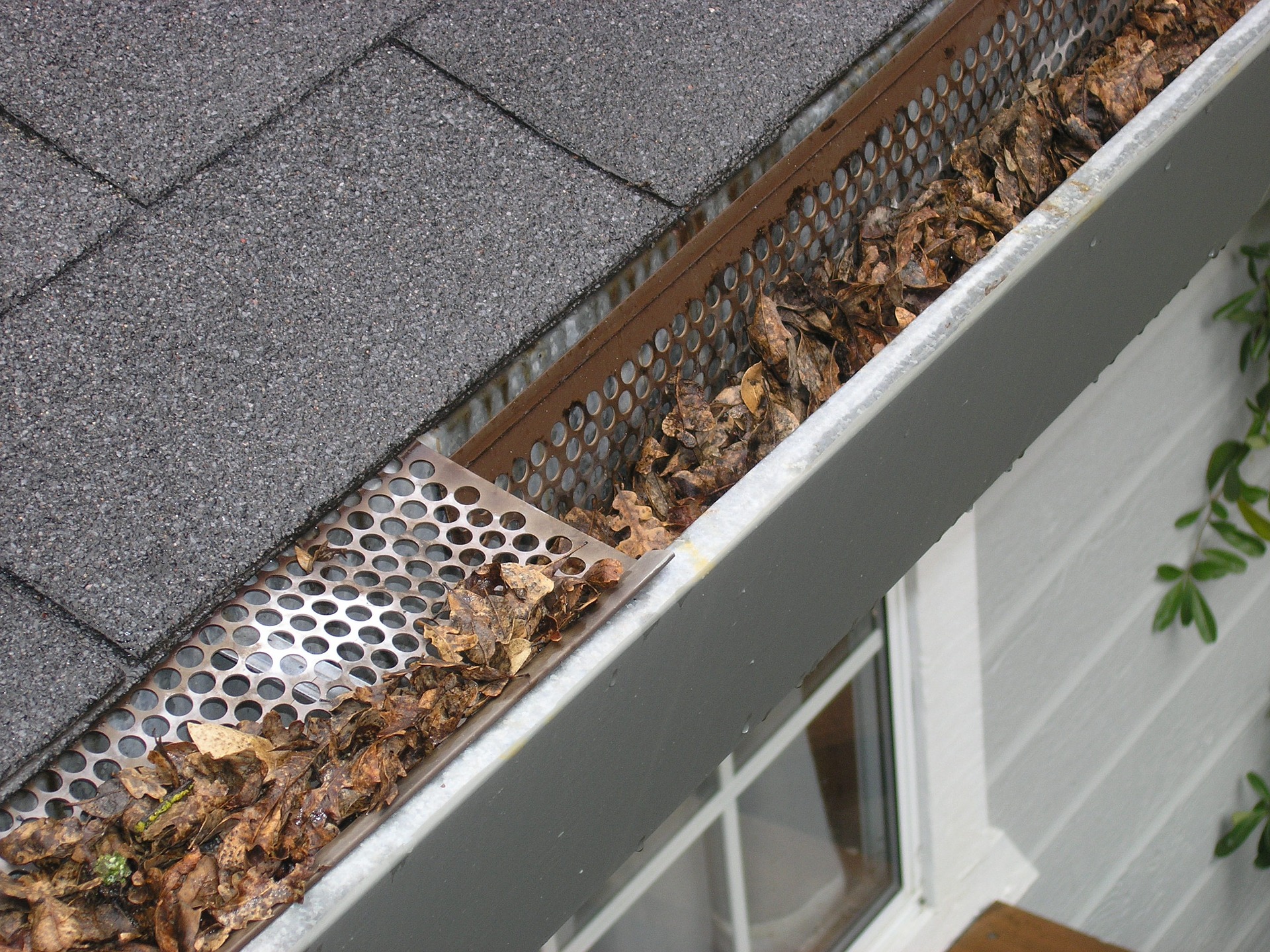Read more about the article Autumn Gutter Care