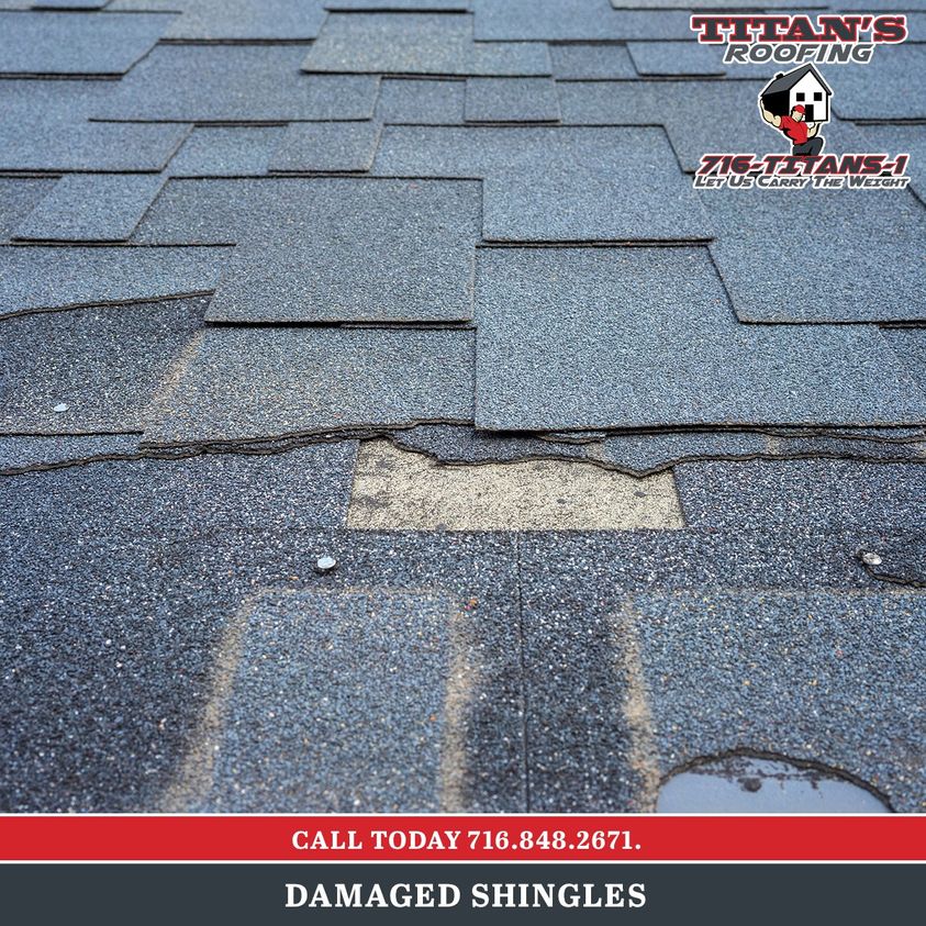 Read more about the article Damaged Shingles